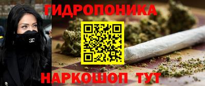 амф Ачхой-Мартан