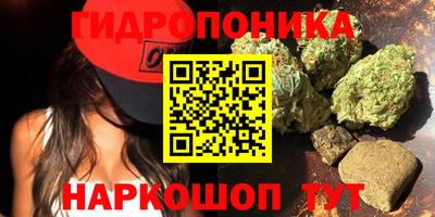 амф Ачхой-Мартан