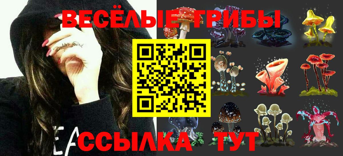 Галлюциногенные грибы MAGIC MUSHROOMS Кореновск