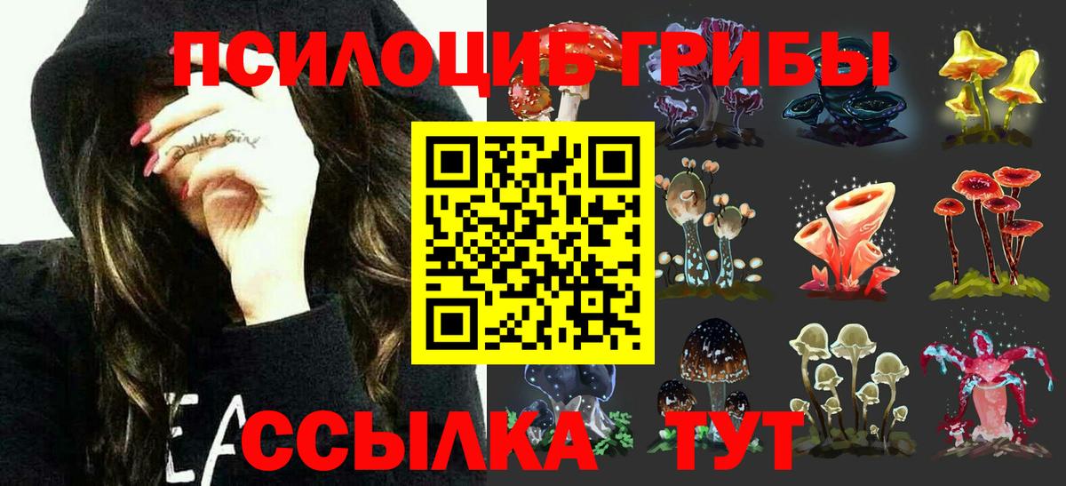 закладка  Вход с VPN  Кореновск  Галлюциногенные грибы ЛСД 